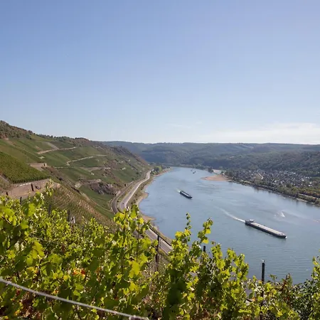 Baudobriga Rheinhotel Hotel 3*