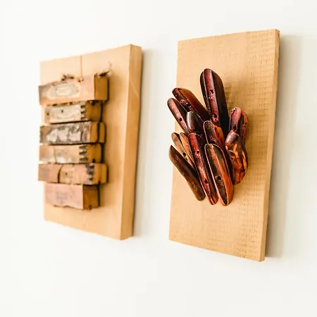 Baudobriga Rheinhotel 3*