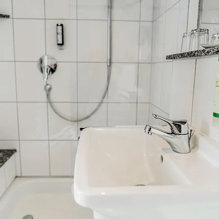 Baudobriga Rheinhotel Hotel 3*