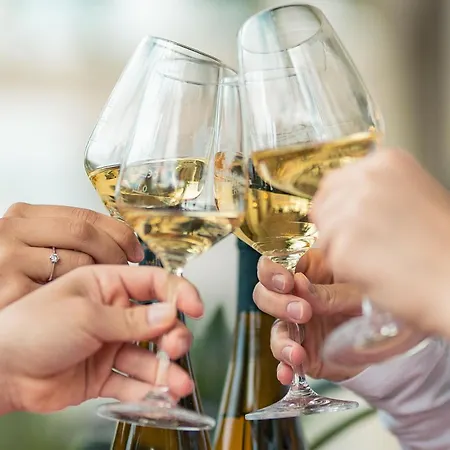 Hotel Baudobriga Rheinhotel 3*