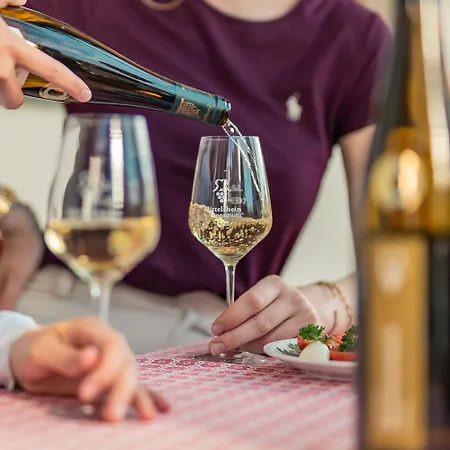 Baudobriga Rheinhotel Hotel