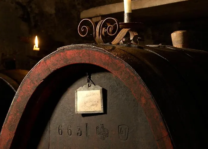 バウドブリガ ラインホテル