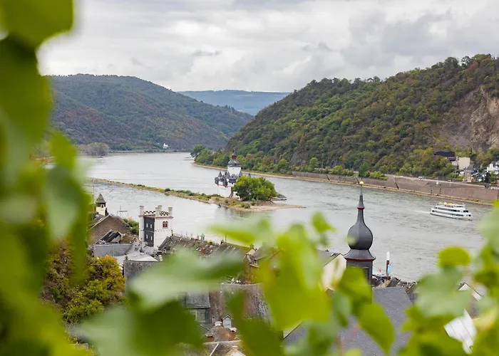 バウドブリガ ラインホテル ホテル