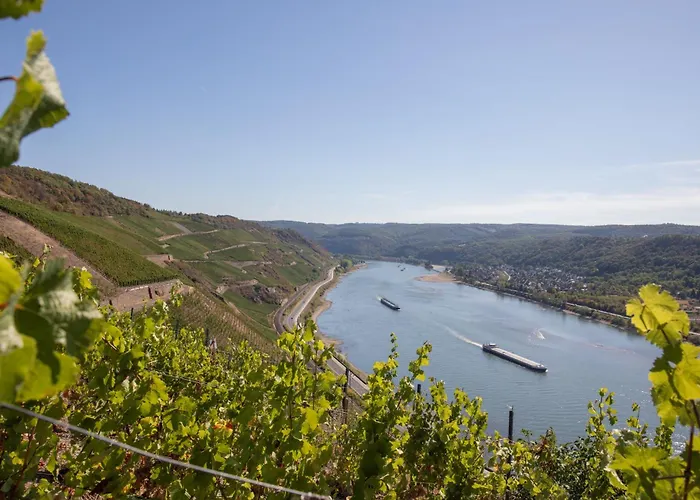 博多布里伽莱茵酒店 酒店 3*