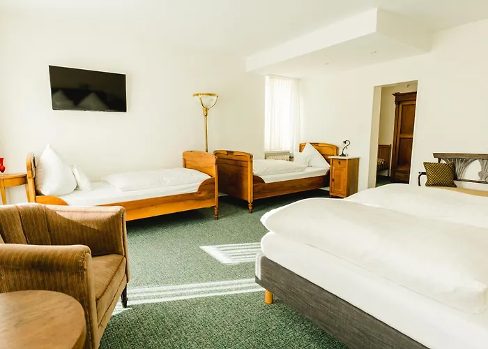 バウドブリガ ラインホテル ホテル 3*