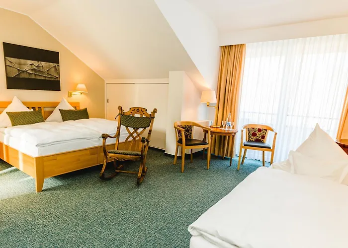 ホテル バウドブリガ ラインホテル 3*