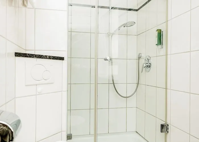 バウドブリガ ラインホテル ホテル ボッパルト