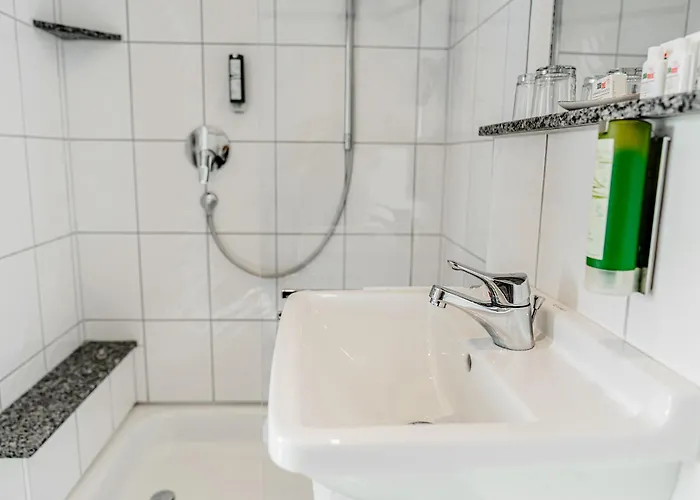 バウドブリガ ラインホテル ホテル 3*