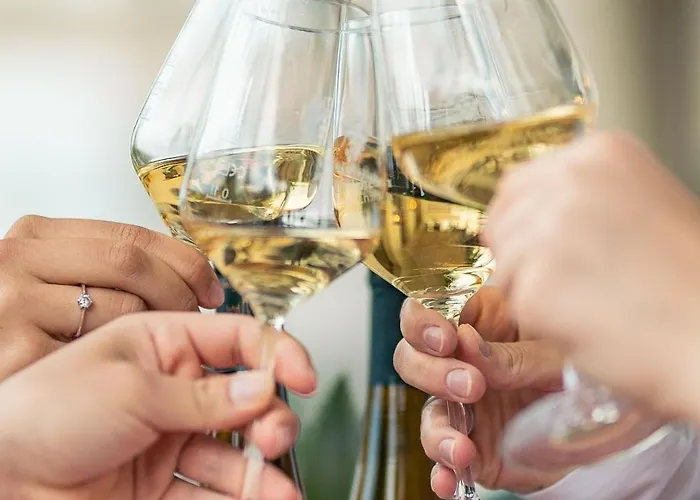 酒店 博多布里伽莱茵酒店 3*