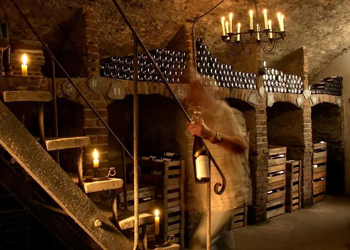 酒店 博多布里伽莱茵酒店 3*