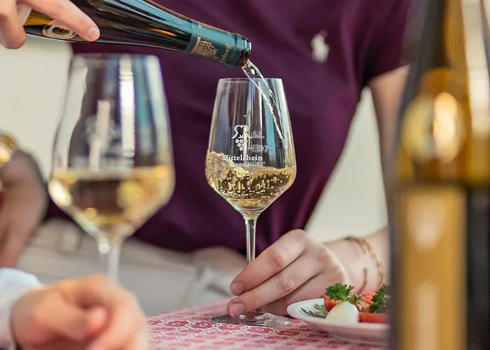 バウドブリガ ラインホテル ホテル